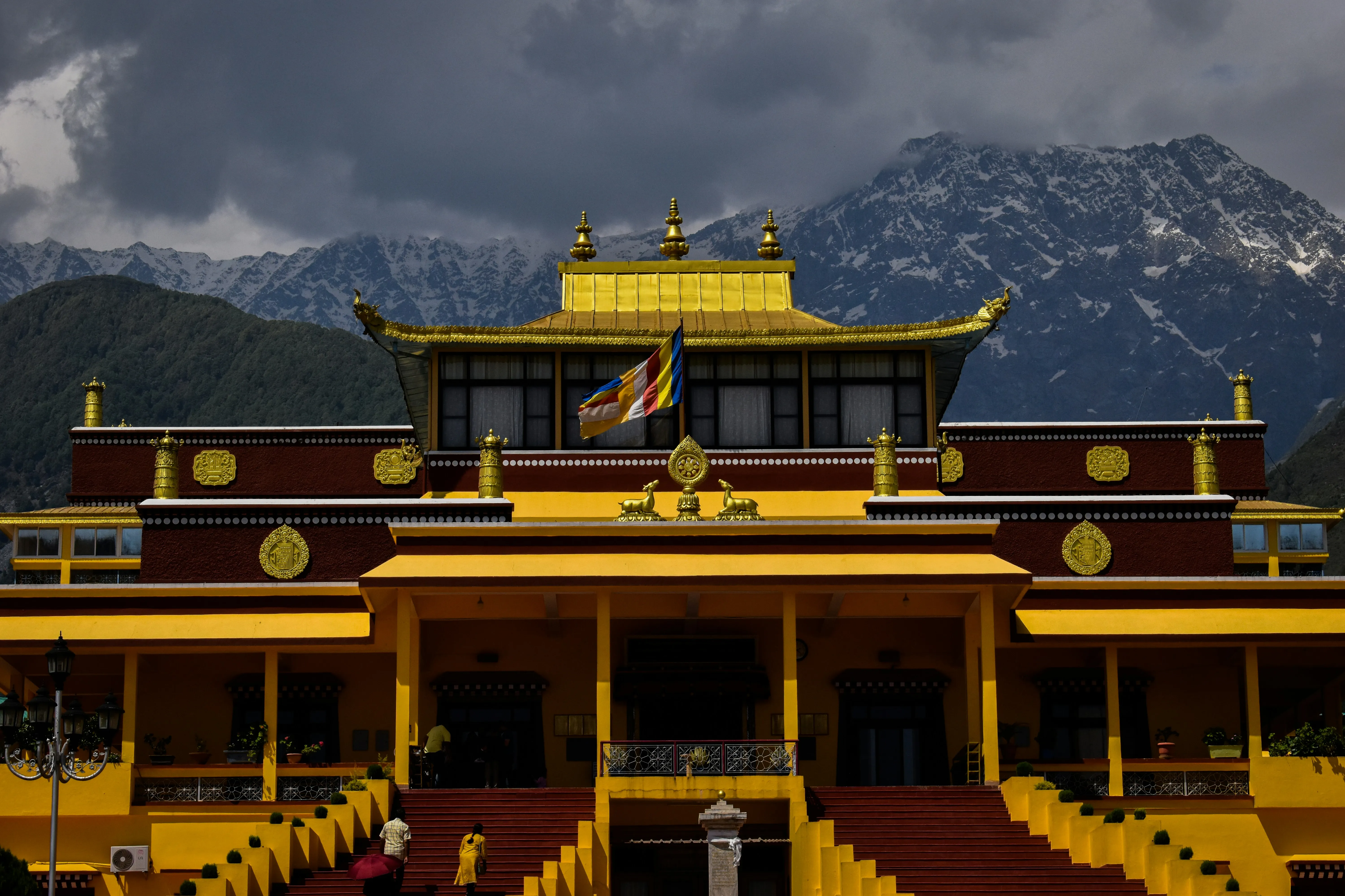 Dharamshala View