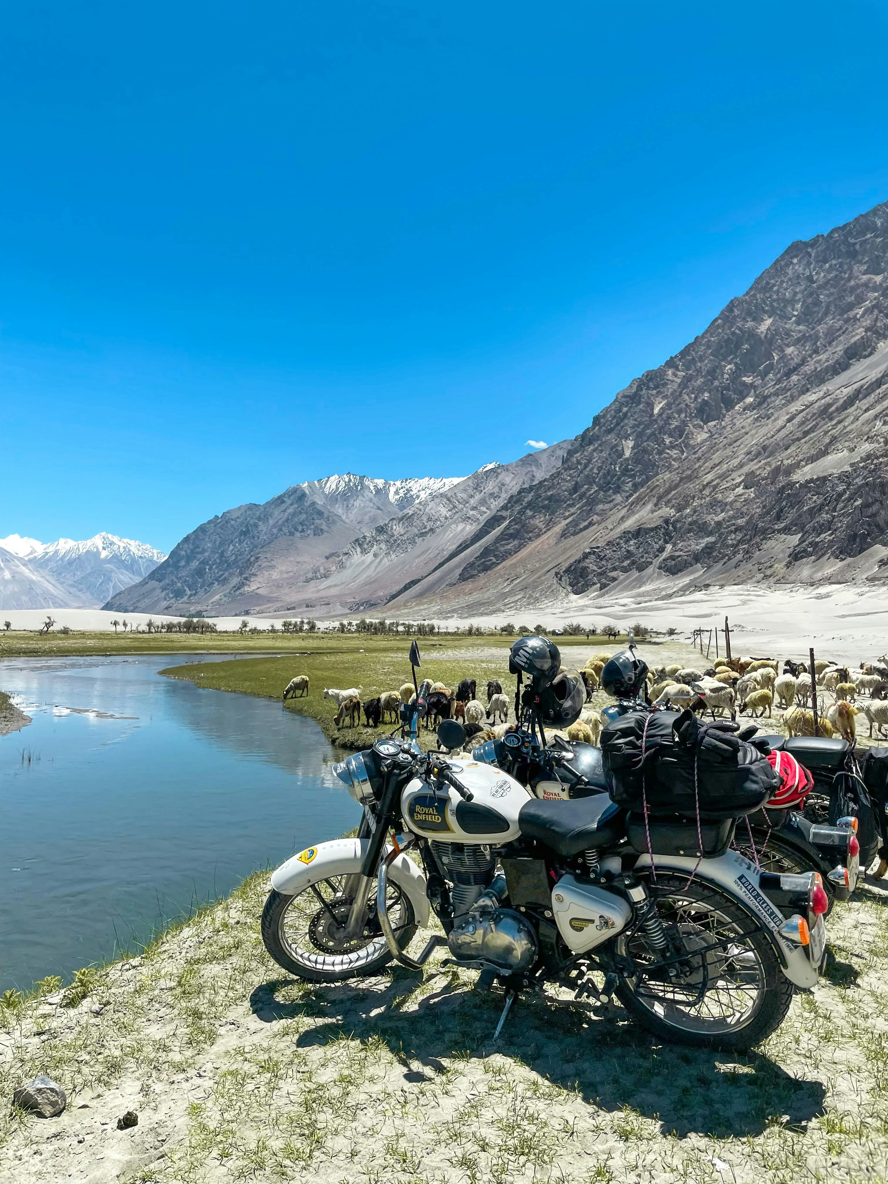 Ladakh Mountains