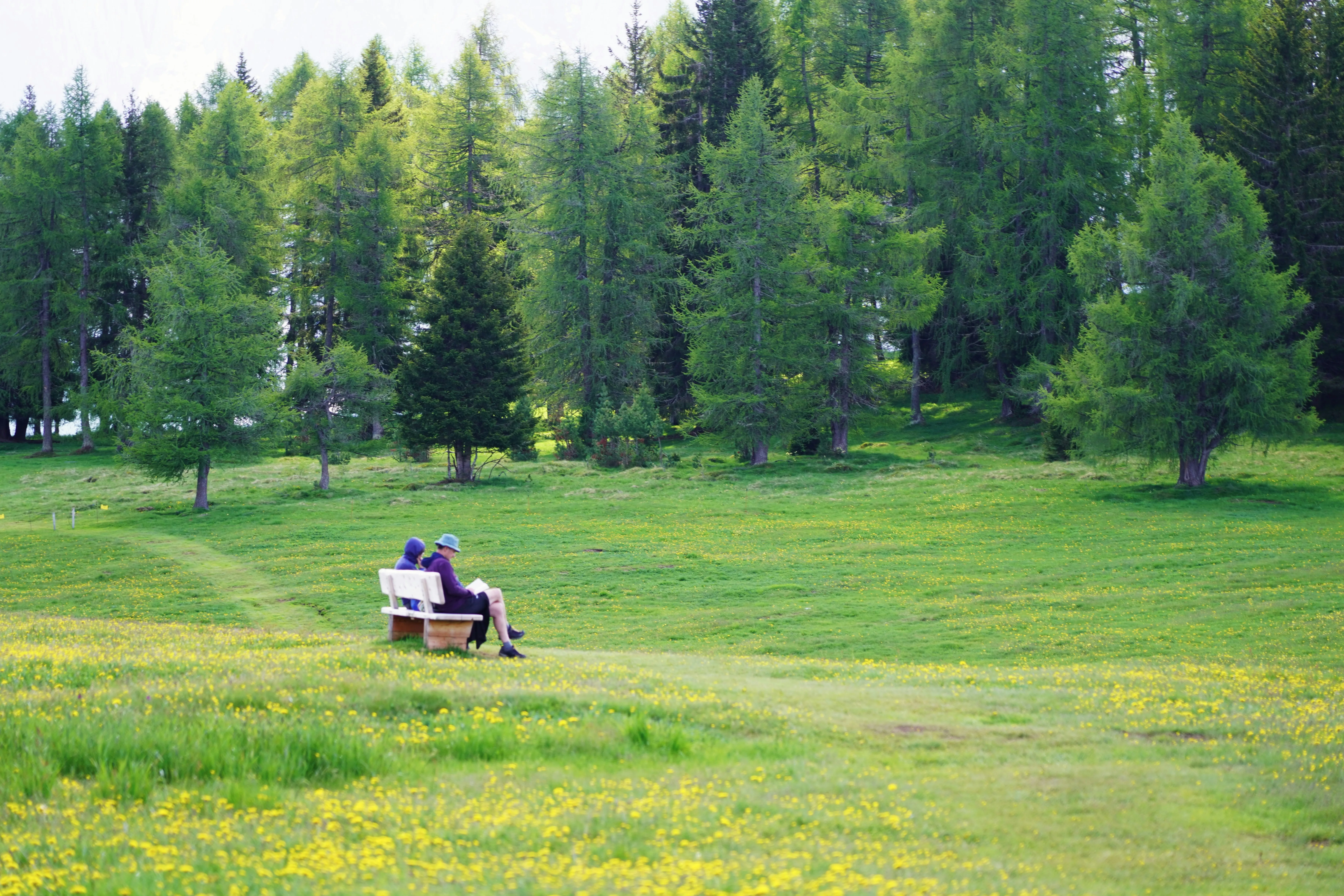 naldehra honeymoon view