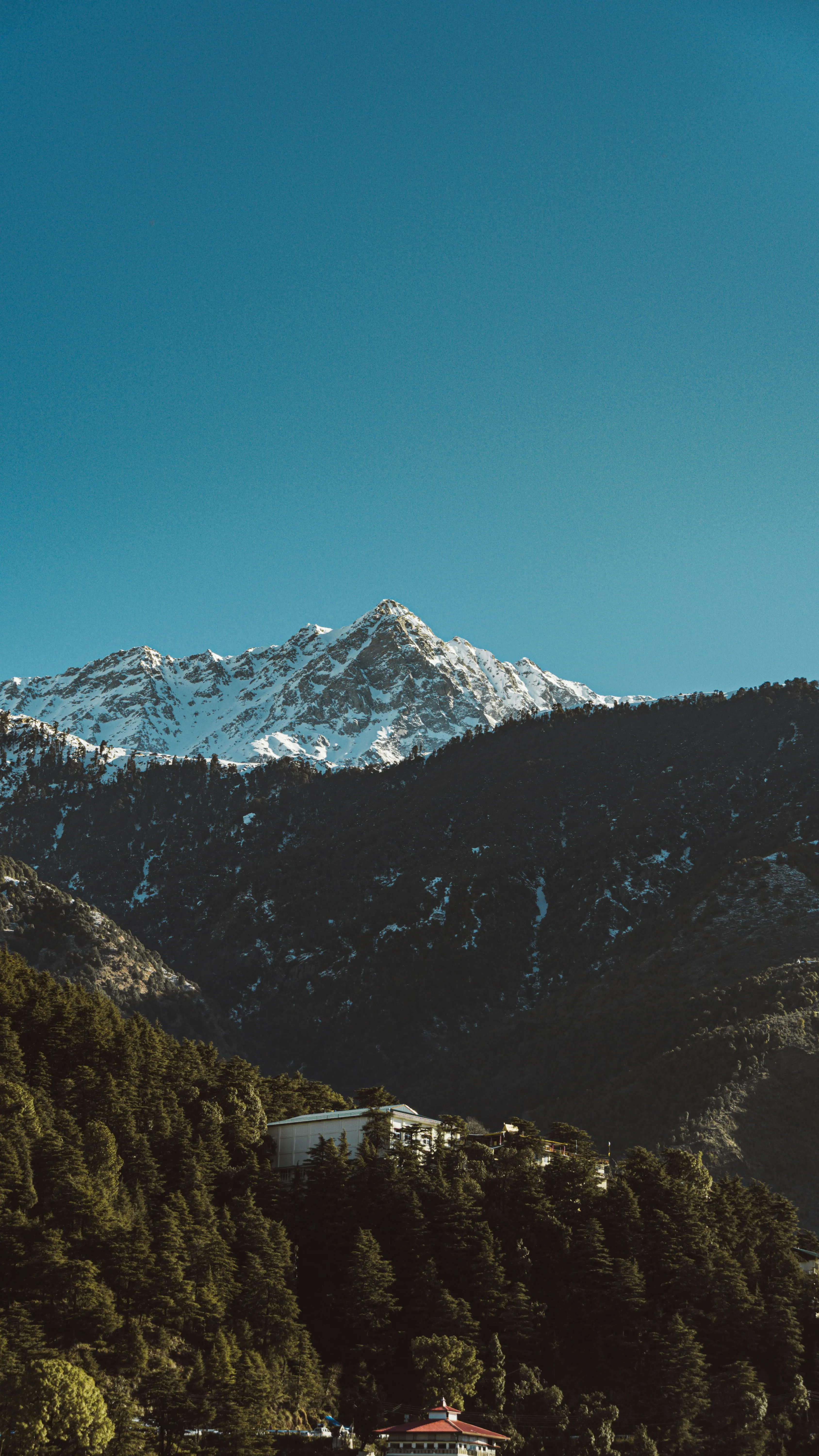 Palampur